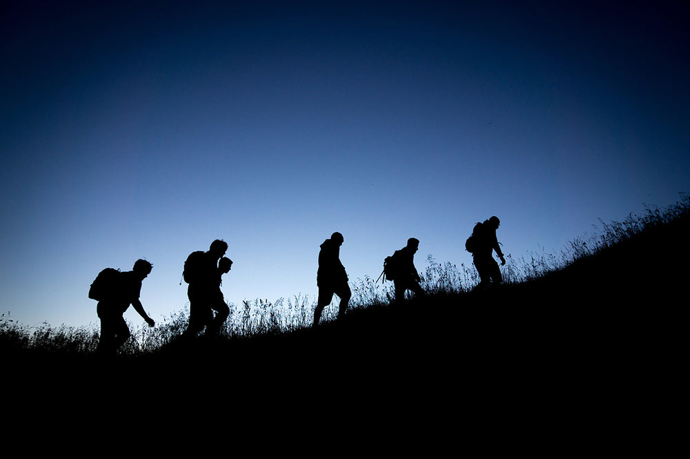 let-s-go-for-a-walk-fodden